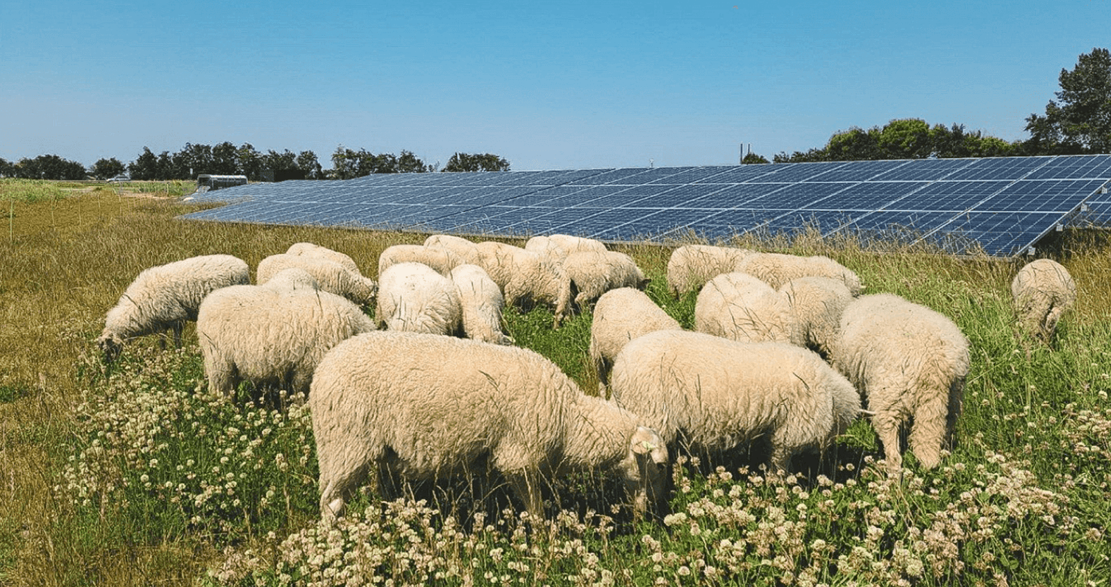 De impact van positieve energie
